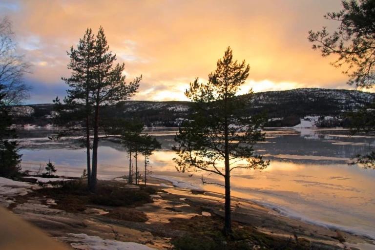 Peaceful And Scandinavian-Style Guesthouse With Scenic Nature And Seaview In High Coast Domsjo Esterno foto