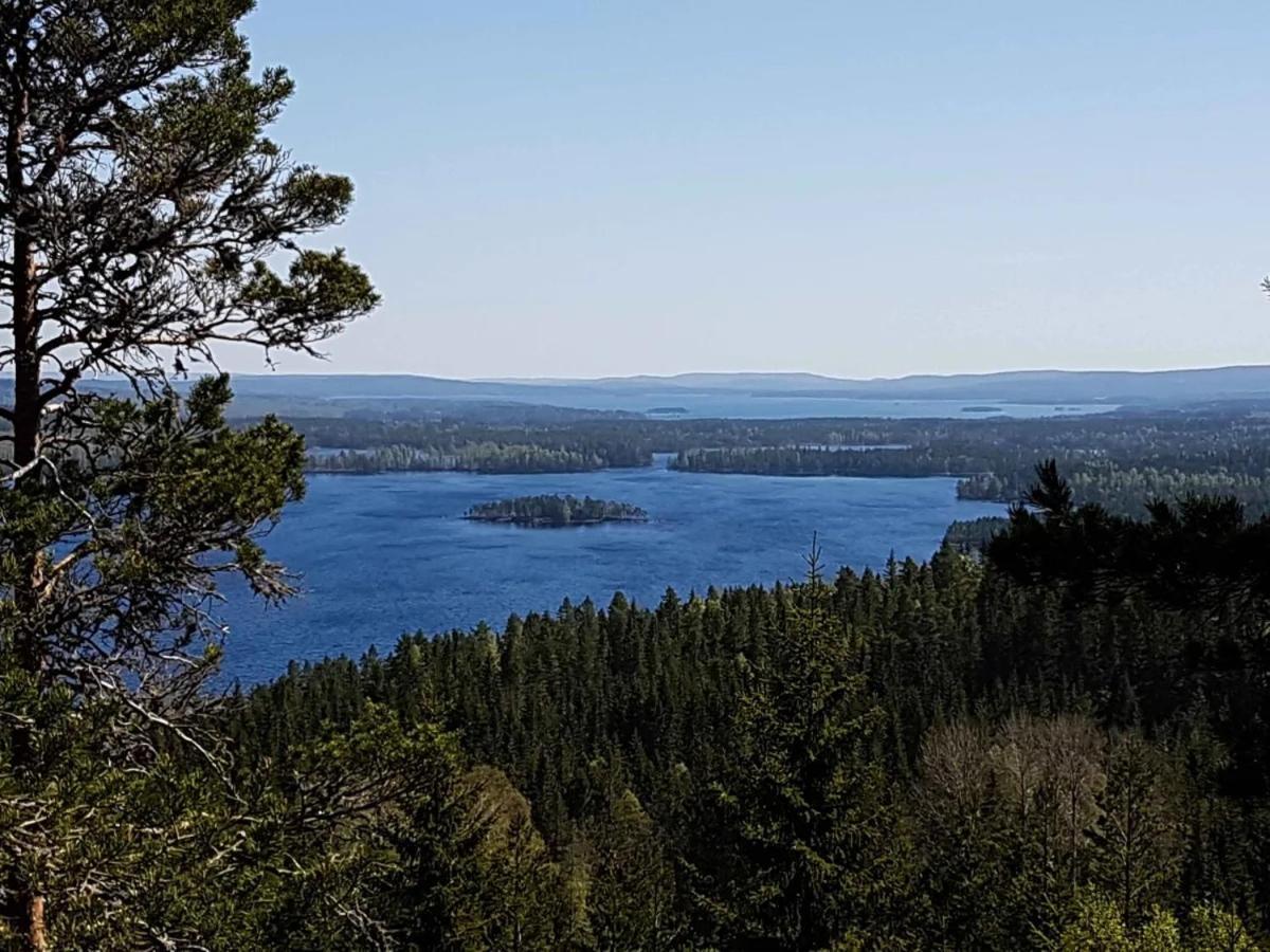 Peaceful And Scandinavian-Style Guesthouse With Scenic Nature And Seaview In High Coast Domsjo Esterno foto